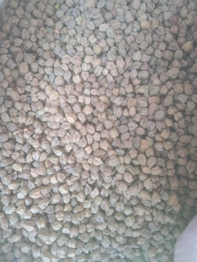 Kala chana loose