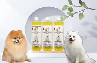 Shampoo Specially Formulated for Lemon (Spitz 3 Litre)