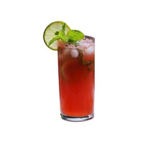 Watermelon Mojito