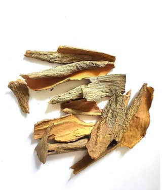 Nutrixia Food CINCONA BARK SINKONA BARK सिंचोना छल Cinchona Bark 50 gm