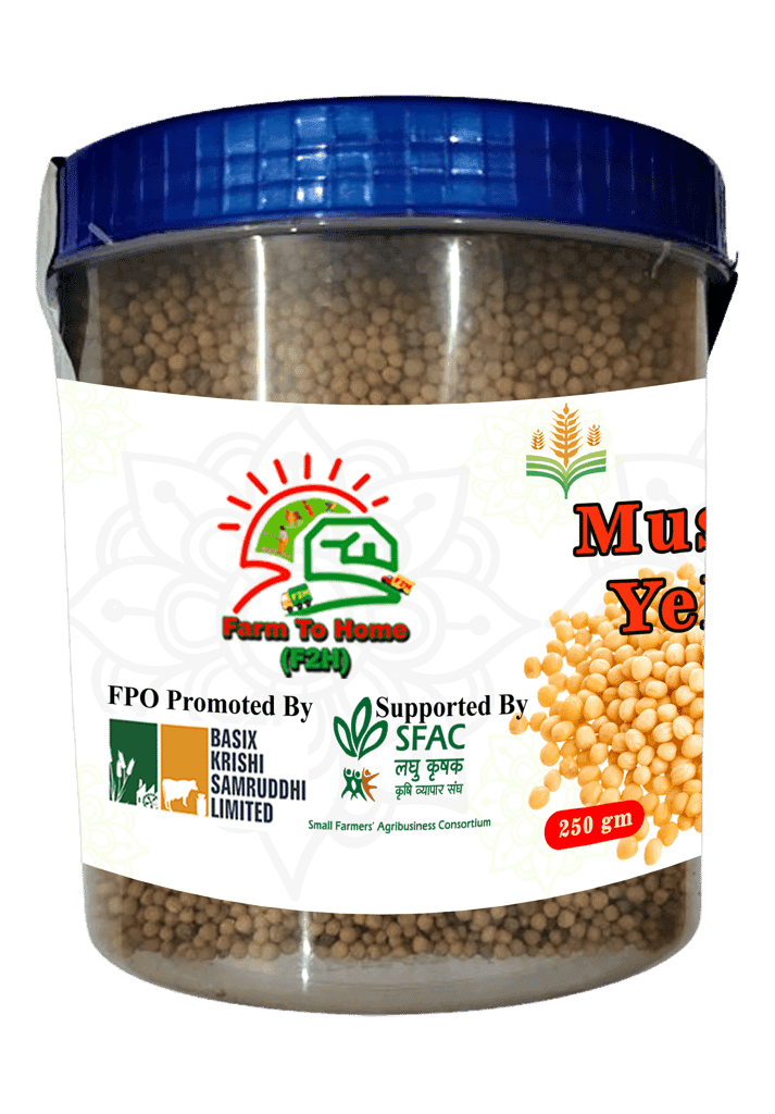 Mustard Yellow Seeds Online - 250 gm view 3