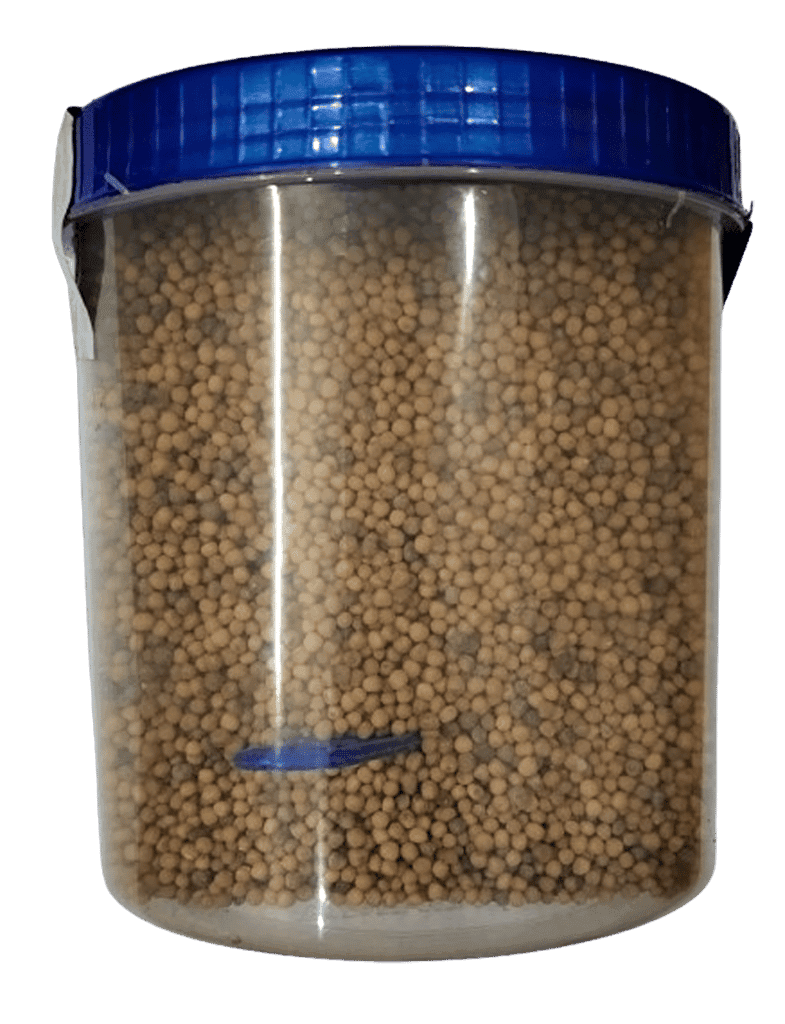 Mustard Yellow Seeds Online - 250 gm view 5