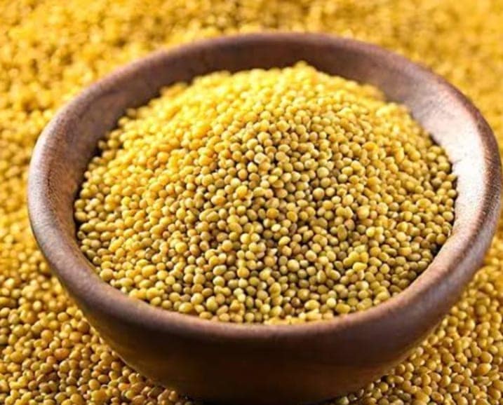 Yellow Mustard view 3