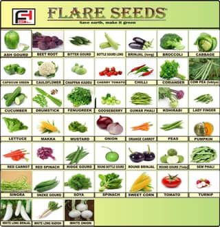 FLARE SEEDS Vegetables Seeds Combo For Home Garden 45 Varieties Indian Vegetable Organic Seeds 2500+ Seeds