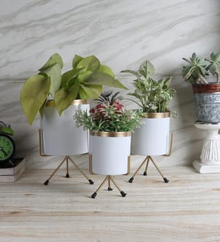 Green Jug Pot Planter Set of 2
