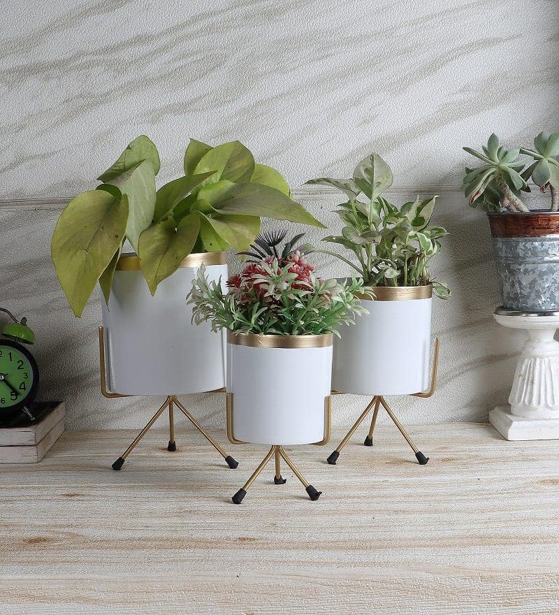 Green Jug Pot Planter Set of 2 view 2