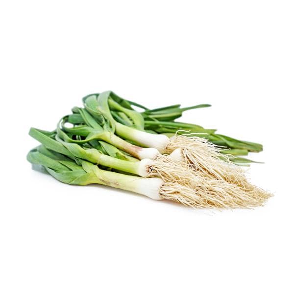 Green Garlic (Bundle)