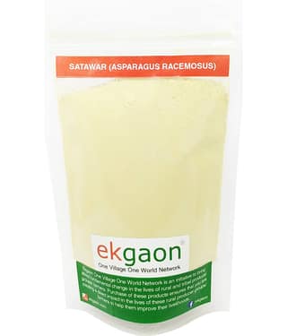 Ekgaon Satawar (Asparagus racemosus) 50 gm