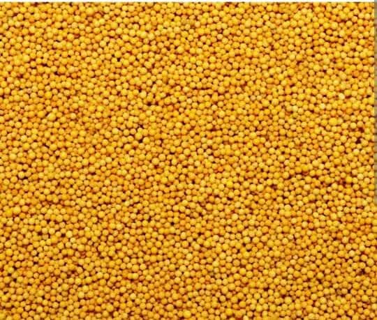 Mustard view 3