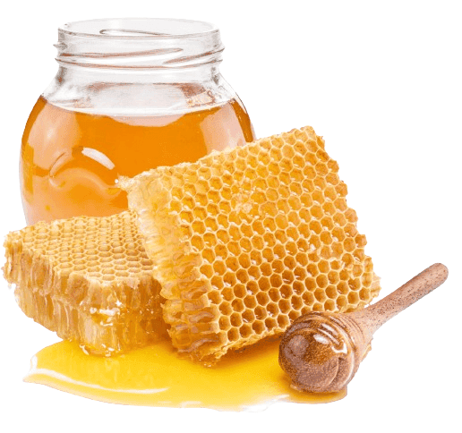 Honey-100gm view 3