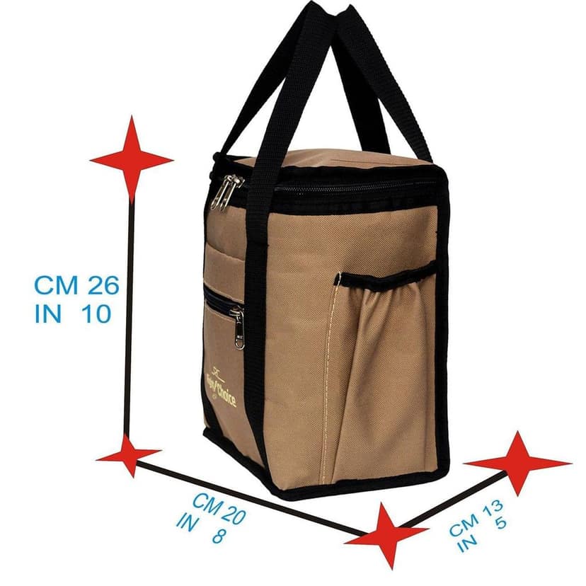 RIGHT CHOICE Combo Lunch Carry/Tiffin Bag for All Age picknic School College Office view 6