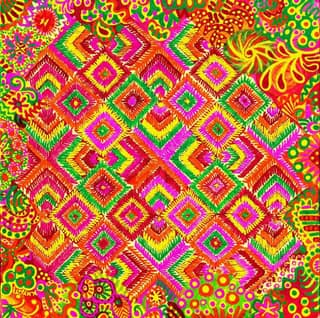 Khyati's Phulkari Canvas Print