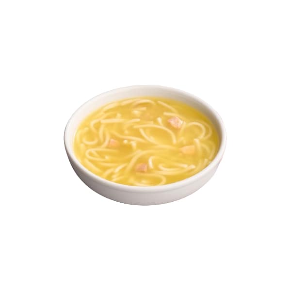 Chicken Noodle Soup