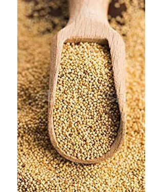 MYGODGIFT Poppy Seed Gold / Khus Khus/White Poppy Seeds / Poppy Seeds for Eating 100 gm