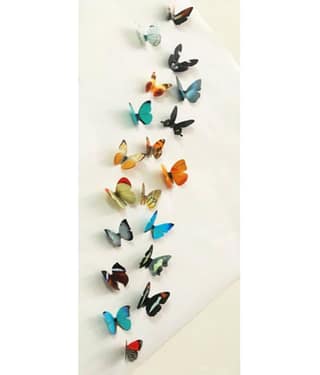 Jaamso Royals Nature Nature Theme PVC 3D Sticker