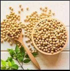 Soyabean view 3