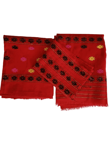 Assamese Mekhela Sadar view 3