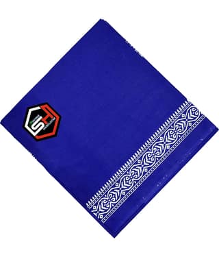 Shyam Handloom Pack of 1 Cotton Below 300 -GSM Bath Towel ( Blue )