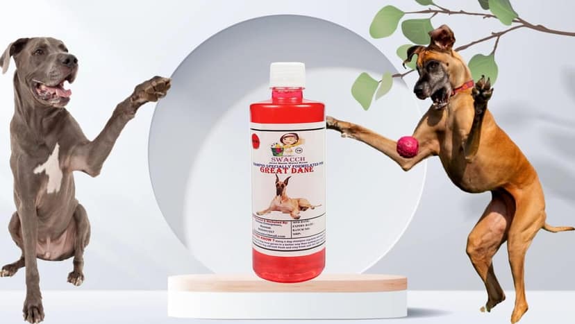 Swacch Shampoo Specially Formulated for Great DANE (500ML) Jasmine