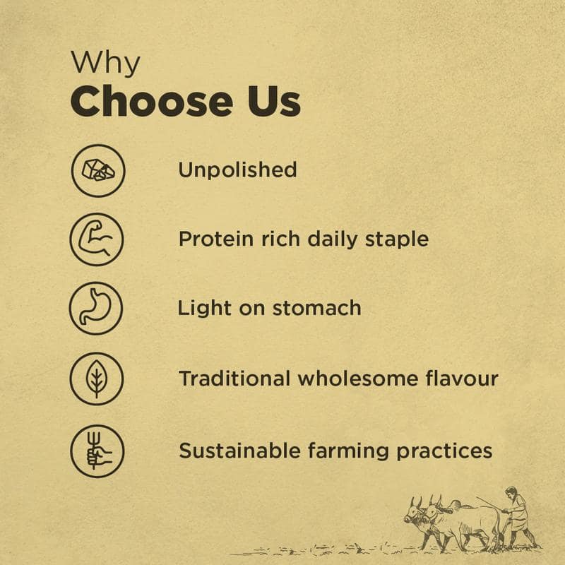 Organic Unpolished Moong Whole (Sabut) - Bharat Organics view 3
