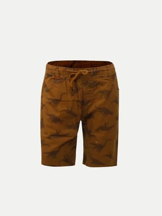 Boys Brown Dinosaur Printed Shorts
