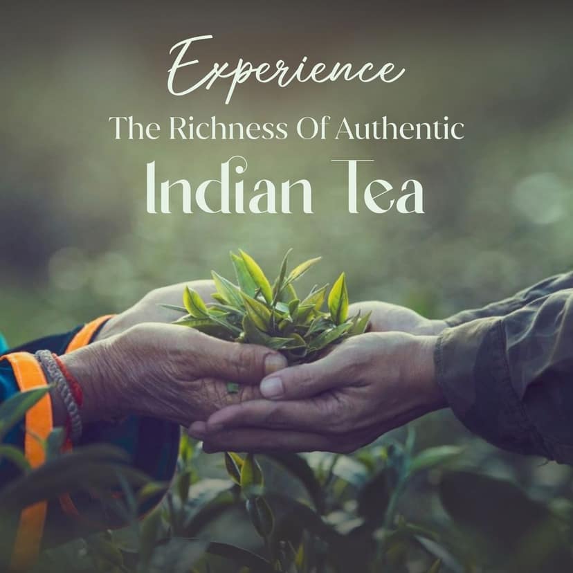 Jivraj Tea 250gm | CTC Assam Black Leaf Tea | Chai Patti Powder | Pouch 250g view 8