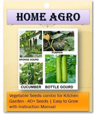 HN organic seed - Vegetable Seeds ( 40 )