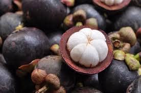 MANGOSTEEN - TROPICAL DELIGHT