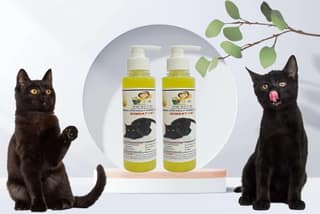 SWACCH Premium Shampoo for Bombay CAT (200ML) (Pack of 2) Lemon