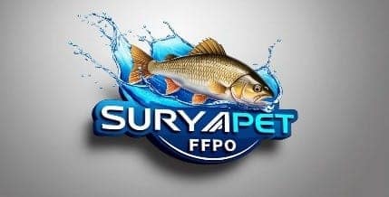 Suryapet Fish Pickle - 300gm view 5