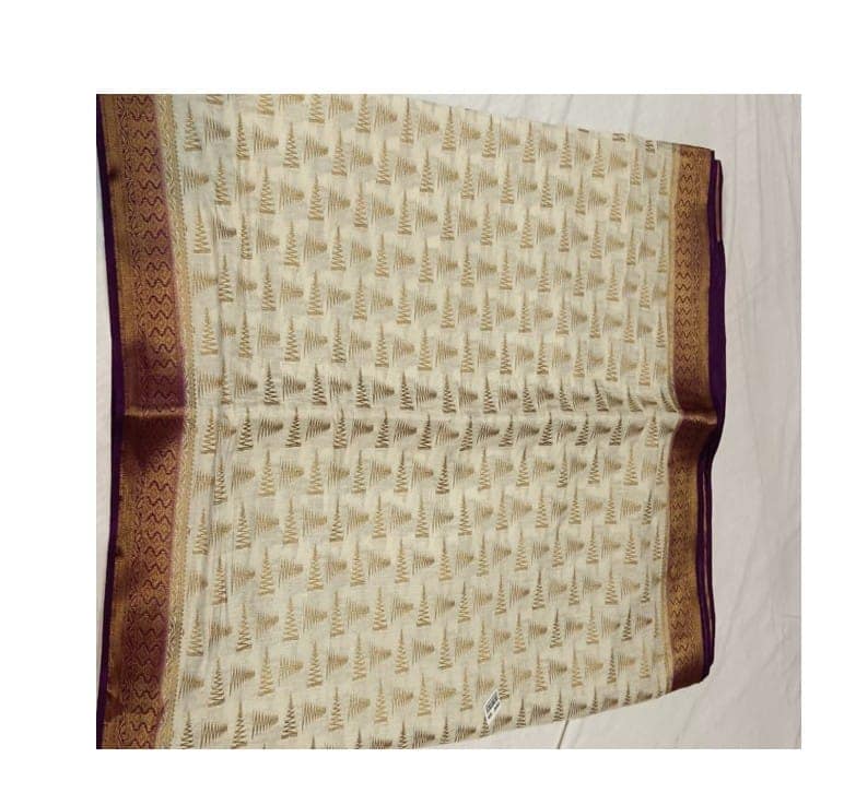 Traditional Indian Saree