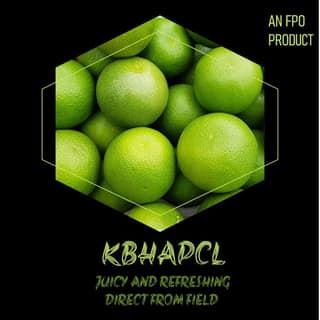Fresh Green kinno - Juicy and Refreshing Direct from Field"
