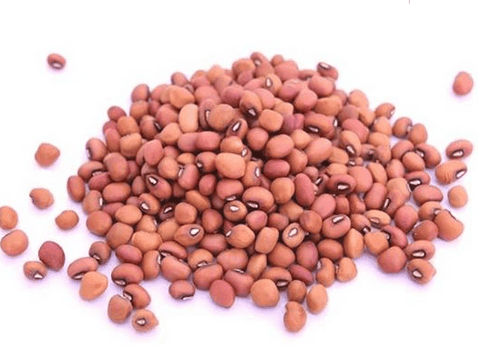 Red Cow Pea view 4