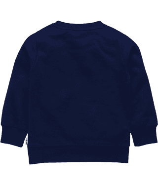 NammaBaby Pack of 1 Boys Sweatshirt ( Grey )