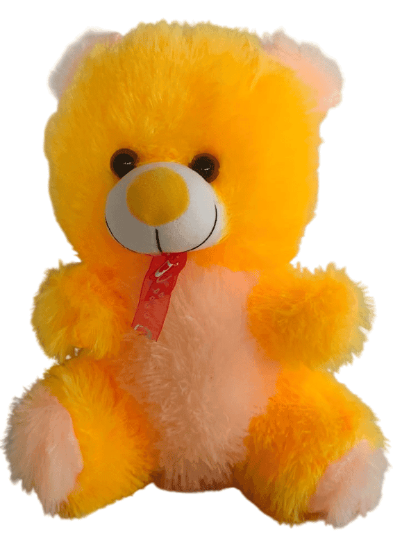 Teddy Bear Soft Toy