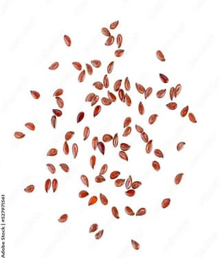 MYGODGIFT Flax Seeds | Alsi Seeds For Eating | Flax Seeds For Weight Management 200 gm