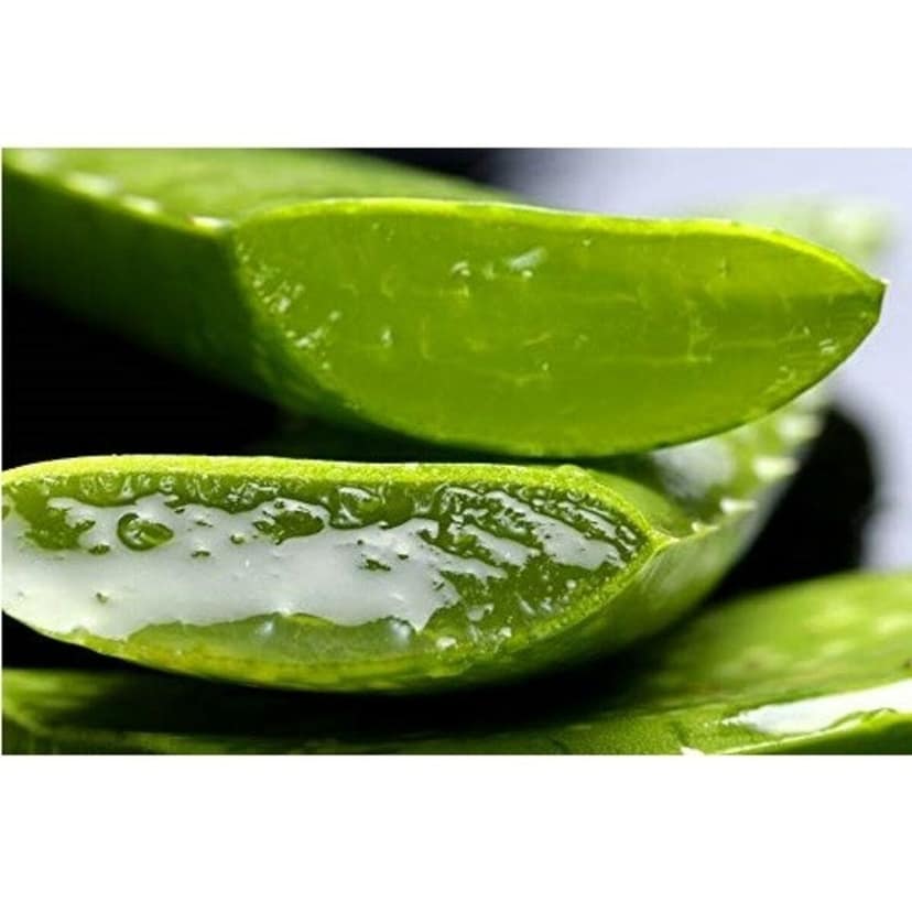 Banjara's Moisturizing Cream Alovera 100G view 4