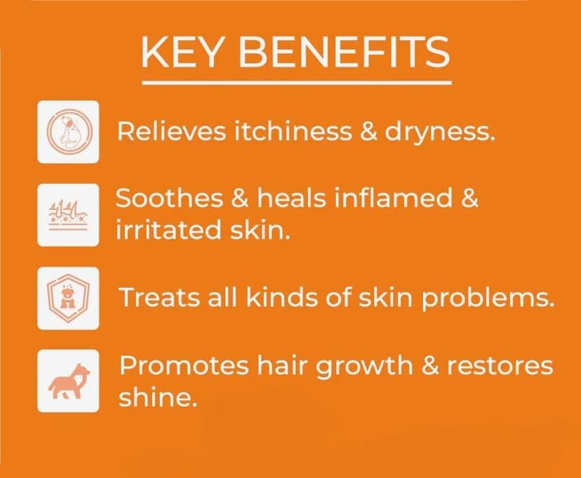 Swacch Shampoo Specially Formulated for Beagle (500ml) Lemon view 4