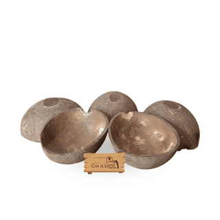 Coconut Shell Finished Oval Pot (100-150-250 ml) S-M-L | Size Decorative Pots,Candle Making,Candle Holder,Craft Making | Handicraft,Agricraft