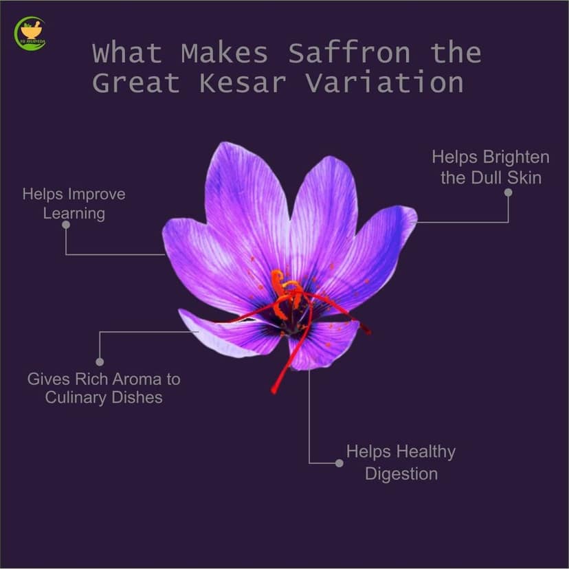 FIJ AYURVEDA A++ Grade Pure & Natural Kashmiri Saffron Threads |Original Kesar| / Kesar/ Keshar/ Zafran / Jafran for Skin & Beauty � 3GM (Combo Pack) view 5