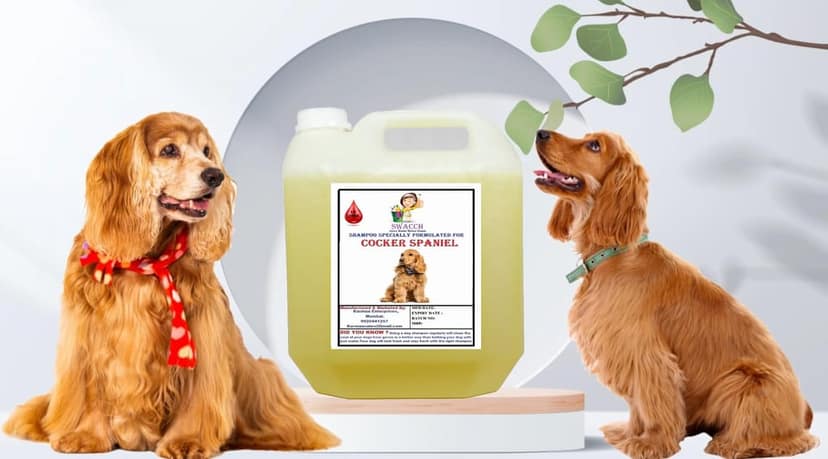 SWACCH Shampoo Specially FORMULATED for Cocker Spaniel (10 Litre) Lemon