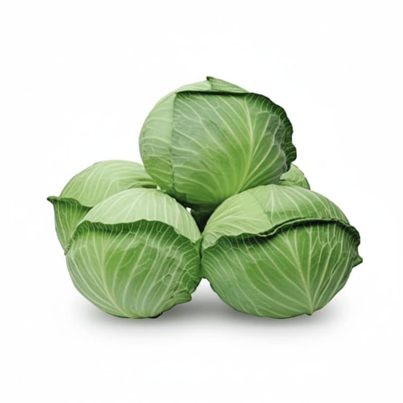 Fresh Green Cabbage - 1 kg - One head of cabbage view 2