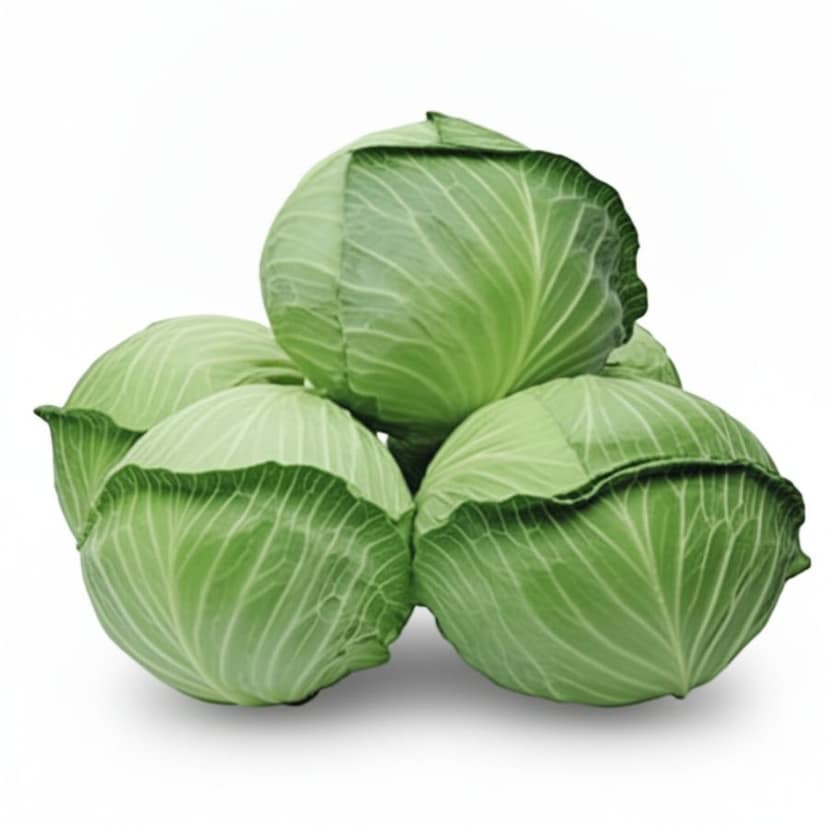 Fresh Green Cabbage - 1 kg - One head of cabbage view 3