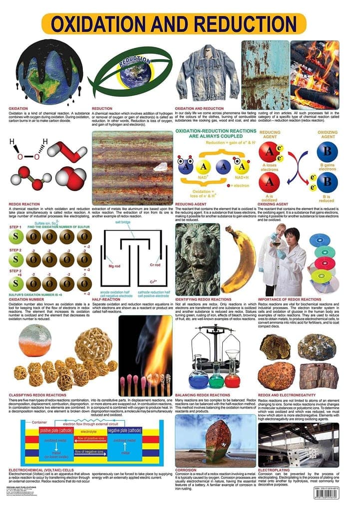 Oxidation & Reduction Wall Chart (Science Chart) - Both Side Hard Laminated (Size 48 x 73 cm) [Poster] Dreamland Publications