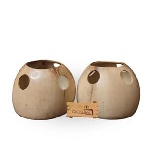 CocoLand Coconut Shell Brush Holder