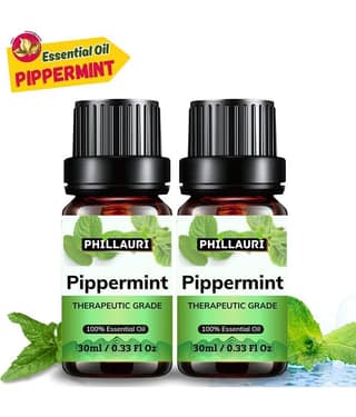 Phillauri Peppermint Others Essential Oil Fruity With Dropper 60 mL ( Pack of 2 )