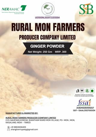 Ginger Powder - 250Gm