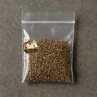 Sarju Stores's ajwain seeds