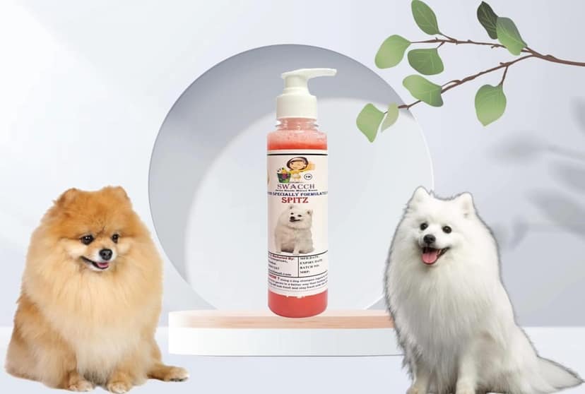SWACCH Premium Shampoo for Spitz (200ML) Jasmine
