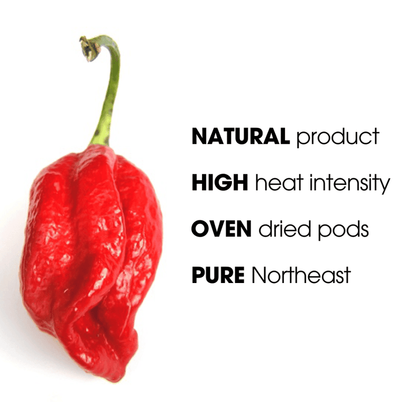 Bhut Jolokia Ghost Pepper Powder | King Chilli view 4